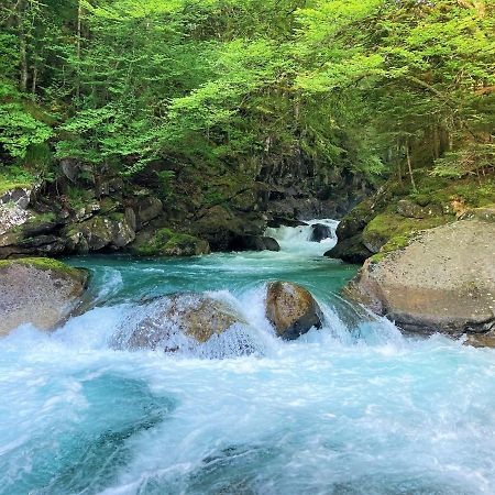 Grand T2 4 Voyageurs Tout Confort Cauterets Εξωτερικό φωτογραφία