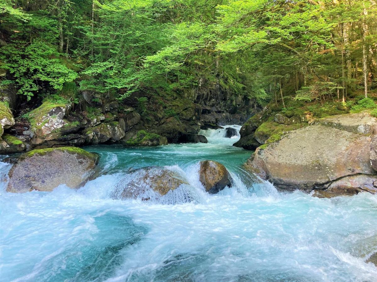 Grand T2 4 Voyageurs Tout Confort Cauterets Εξωτερικό φωτογραφία